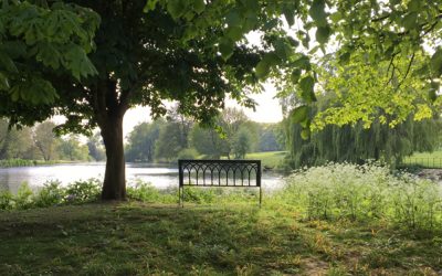 Arrival and Tea at The Vyne